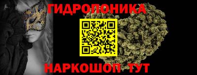 спайс Аргун